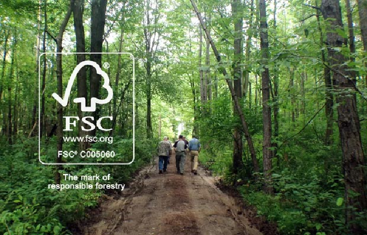 Chứng nhận tiêu chuẩn rừng FSC là gì? Tại sao nên mua sàn gỗ có chứng nhận FSC?